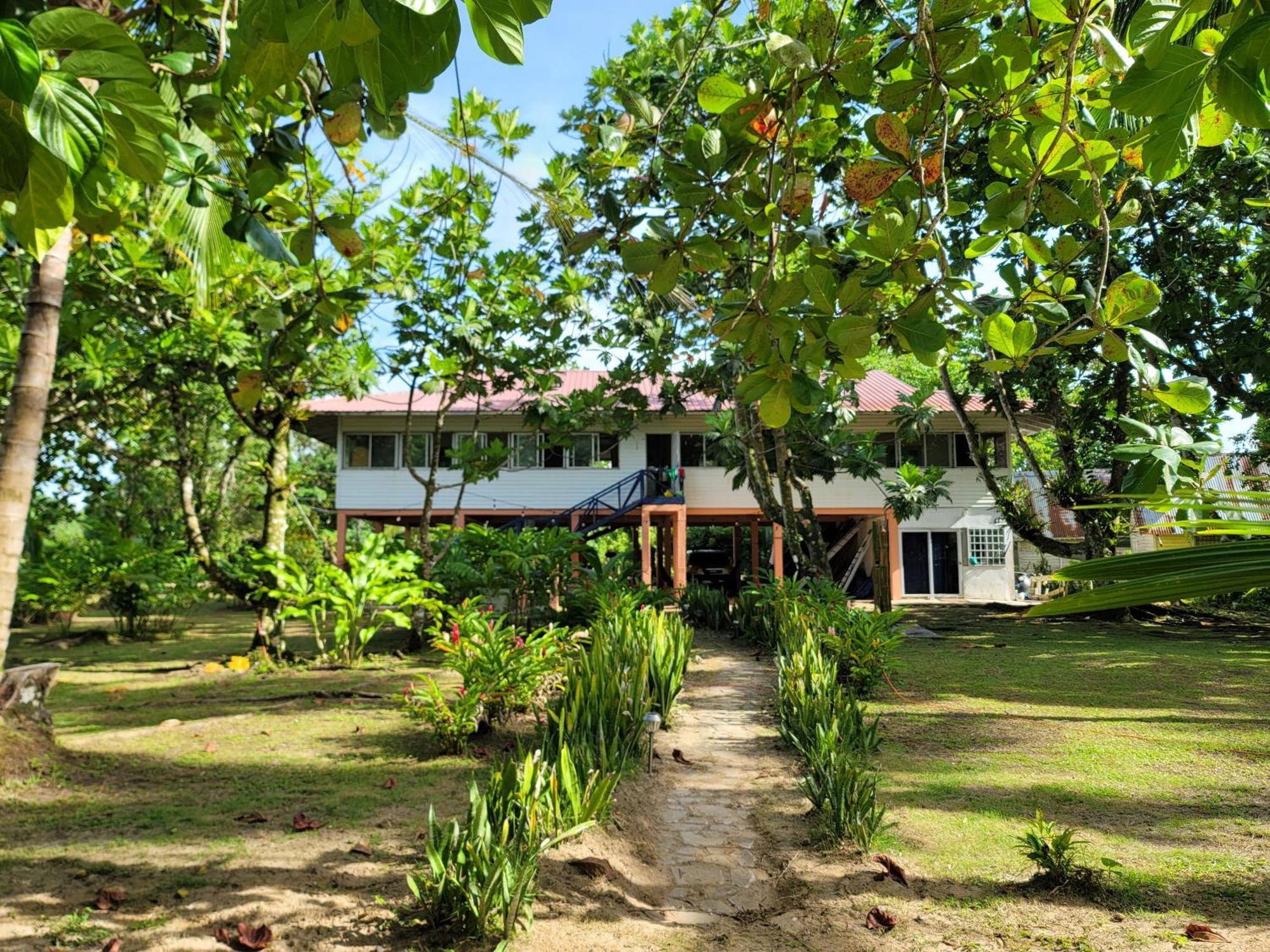 Drago Beach House - Private Beach Boca del Drago Dış mekan fotoğraf